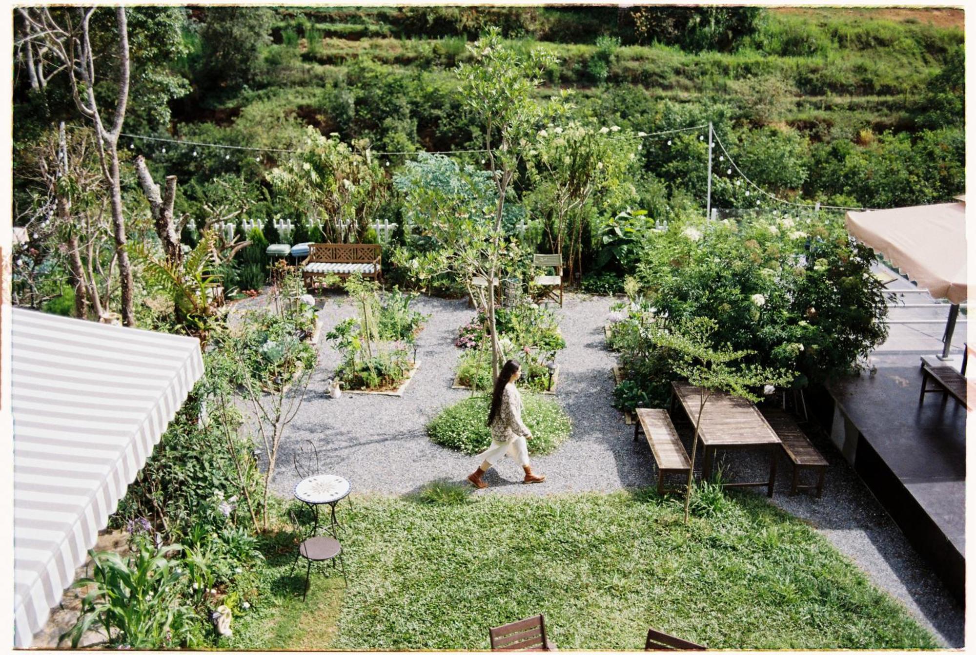 He Maison Boutique Stay & Cafe Νταλάτ Εξωτερικό φωτογραφία